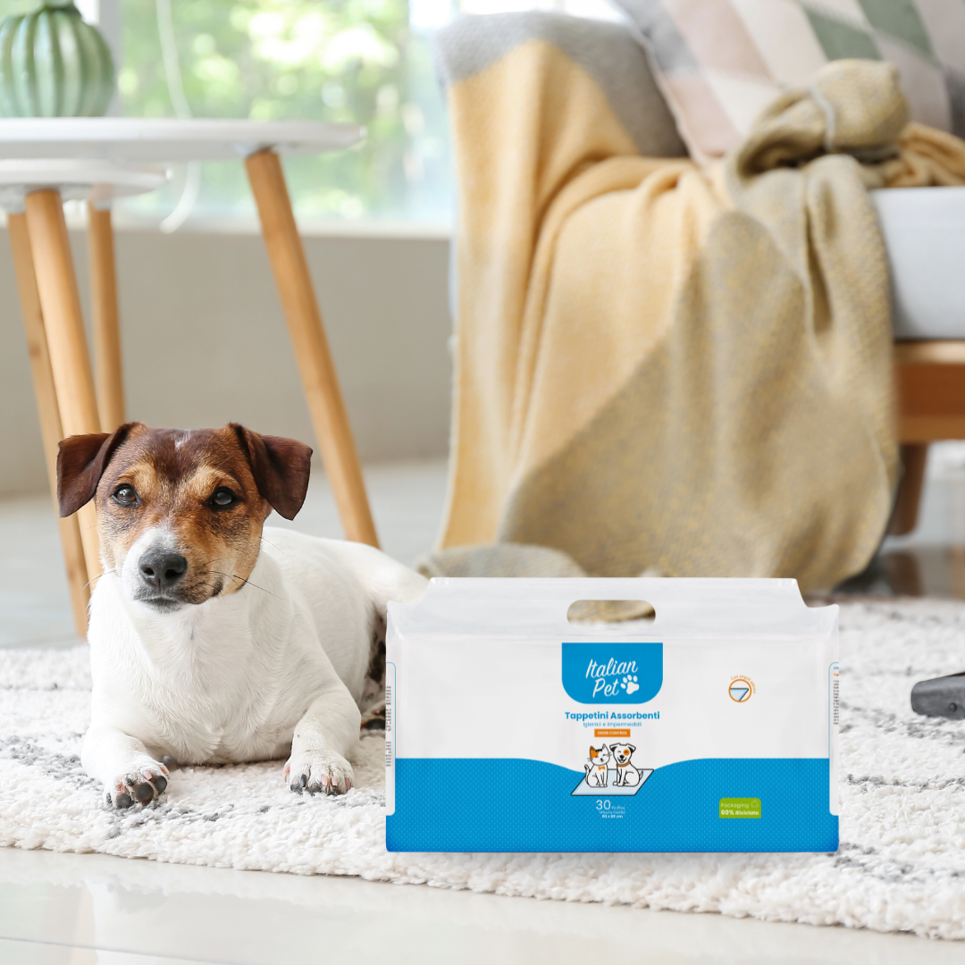 Tappetini Assorbenti per Cani | Italian Pet
