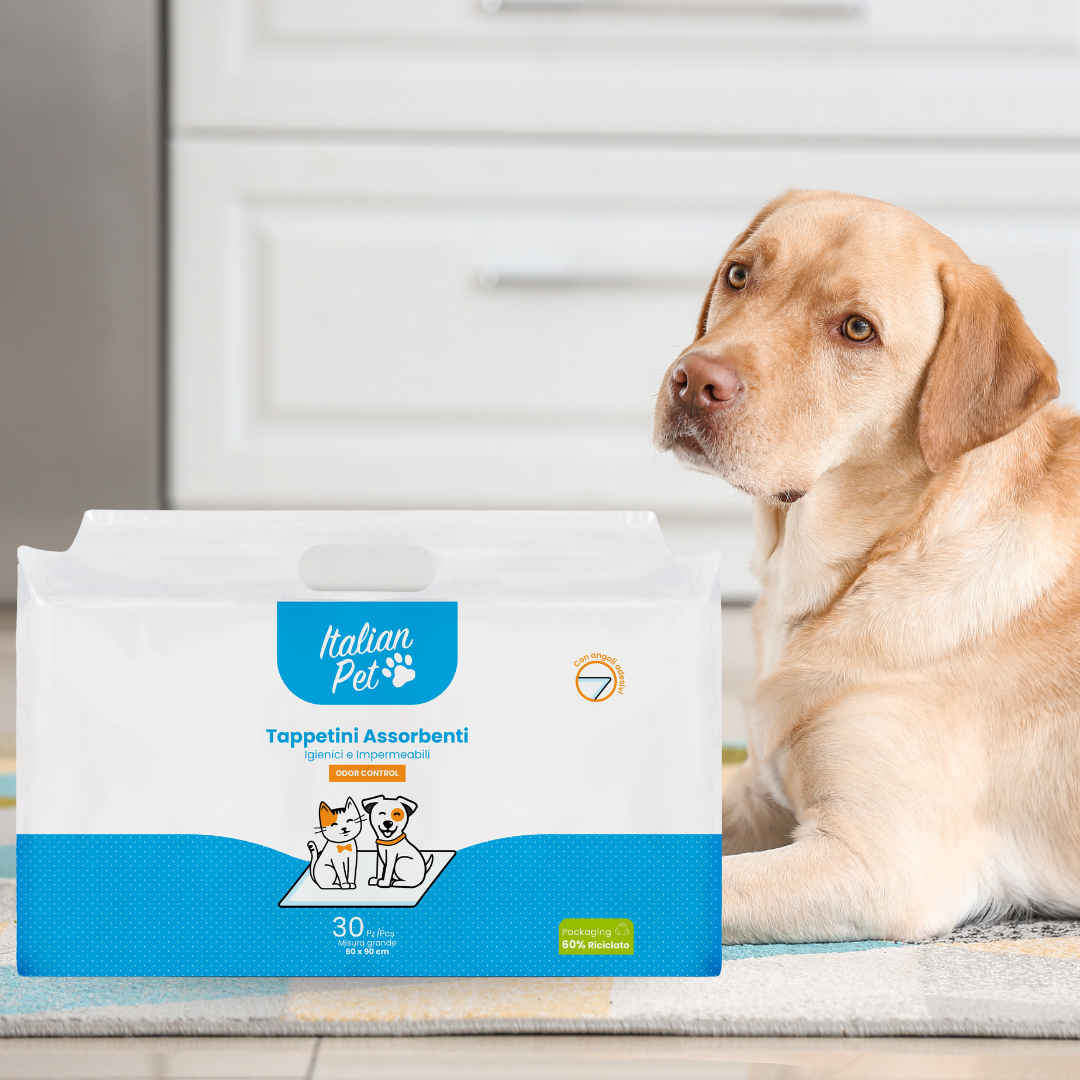 Come insegnare al cucciolo a usare le traversine