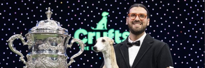 Miuccia, il Whippet che ha conquistato il Crufts: un trionfo per l’eccellenza italiana